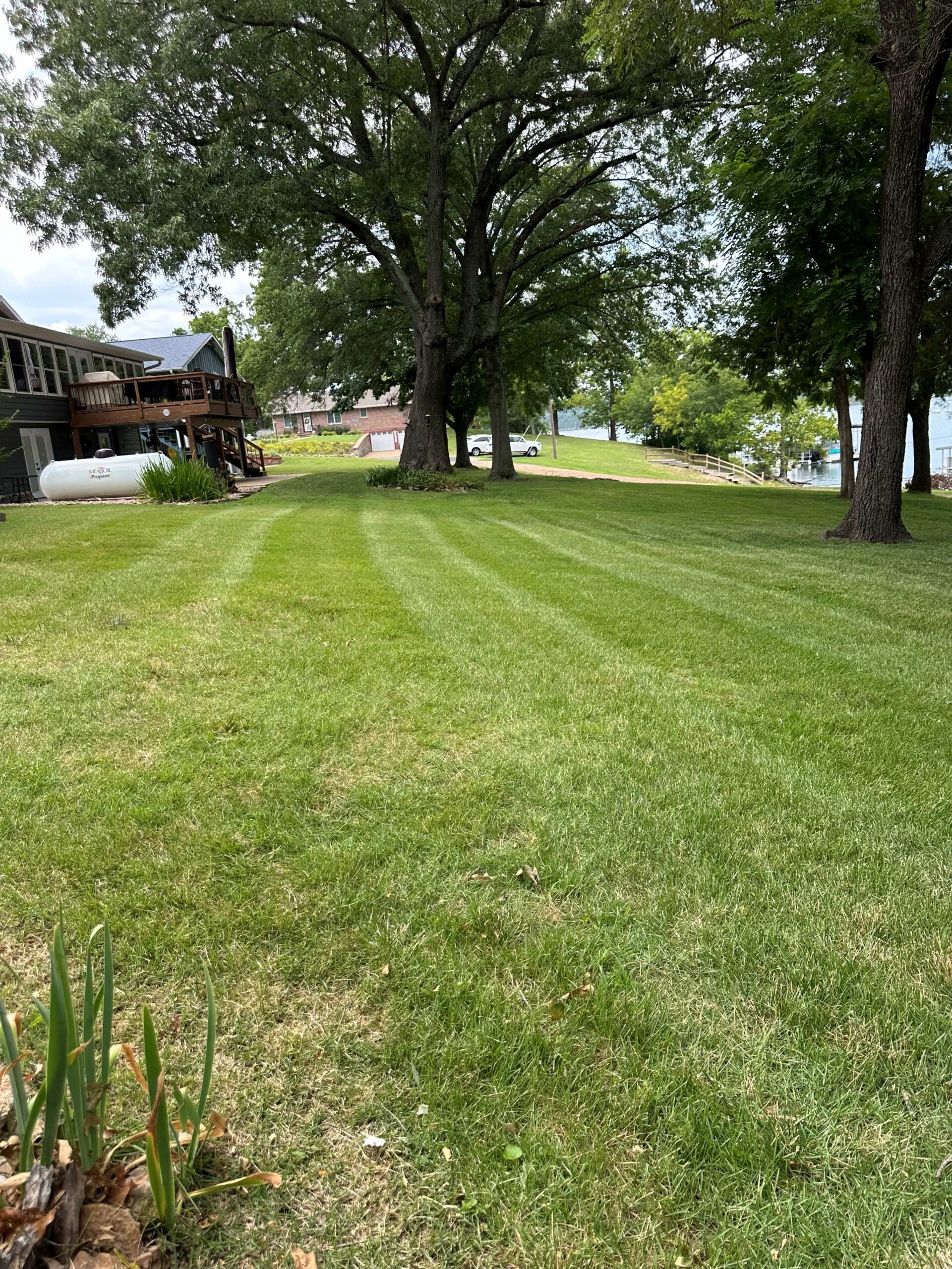 Spacious residential yard with freshly mowed grass in Springfield, MO area.