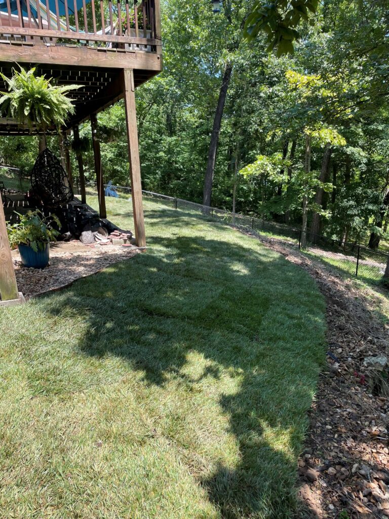 Freshly installed sod lawn by CJM Landscaping in Springfield, MO